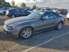 Lot #3304530521 2014 FORD MUSTANG