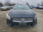 Lot #3310438311 2010 NISSAN MAXIMA S