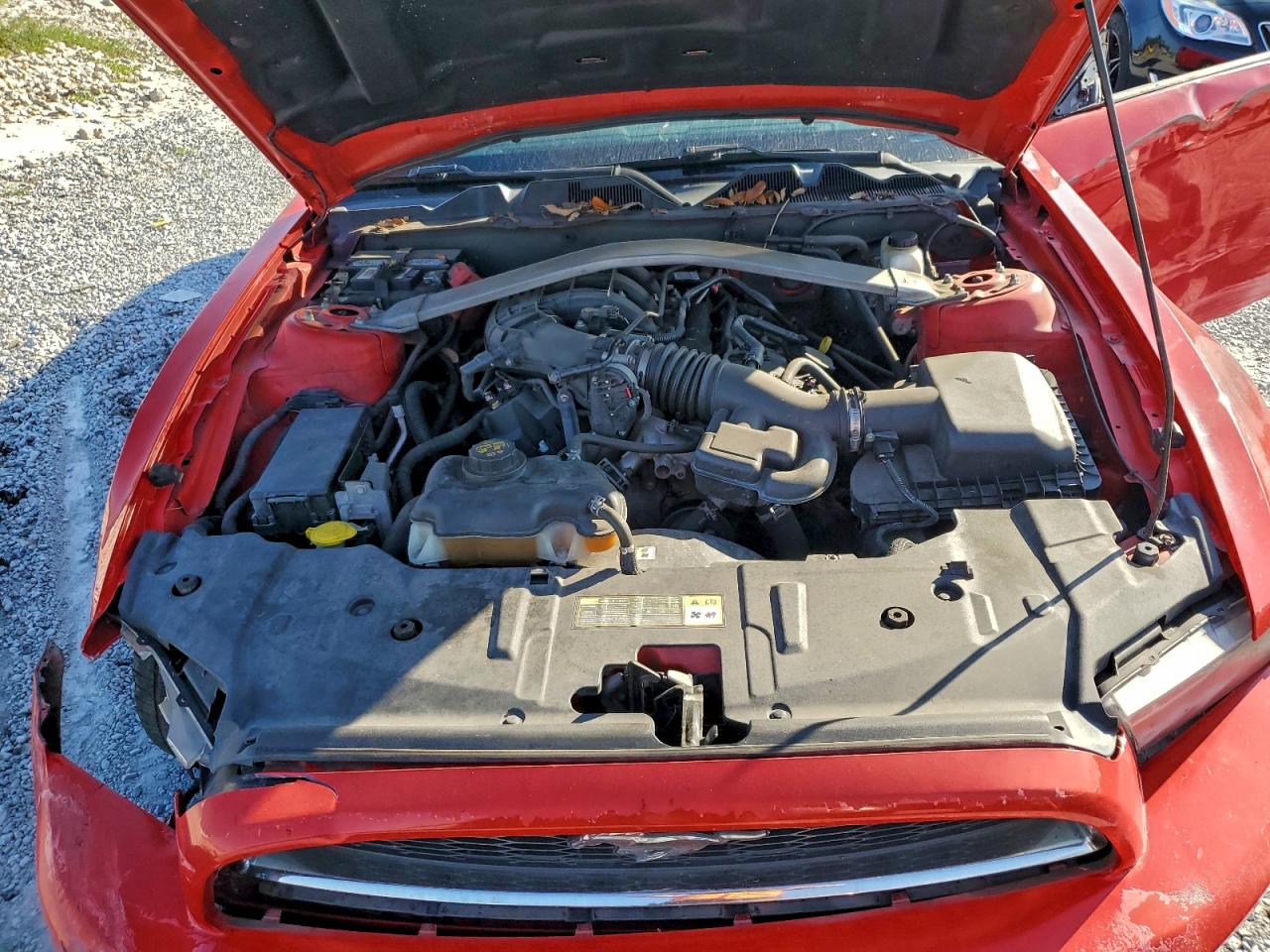 Lot #3305308338 2014 FORD MUSTANG