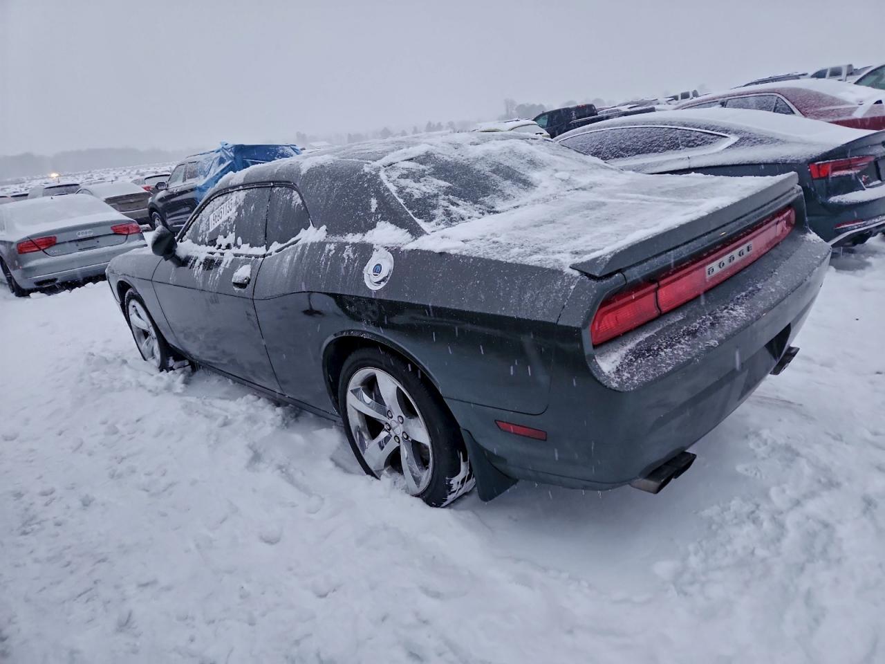 Lot #3316024800 2013 DODGE CHALLENGER