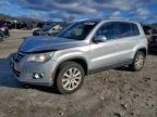Lot #3312513619 2009 VOLKSWAGEN TIGUAN SE