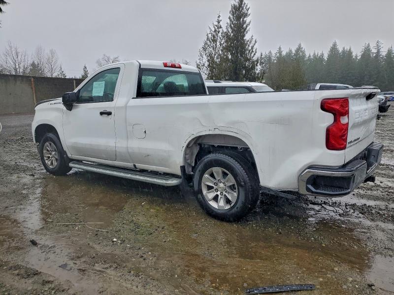 2023 CHEVROLET SILVERADO #3315919088