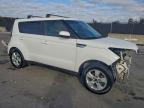Lot #3303596927 2019 KIA SOUL