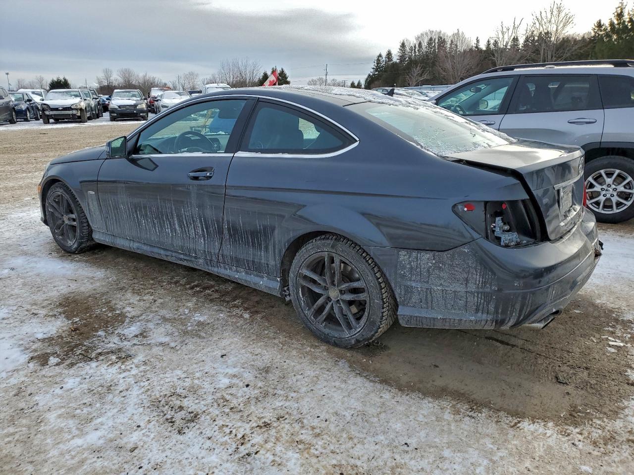 MERCEDES-BENZ C-CLASS 250
