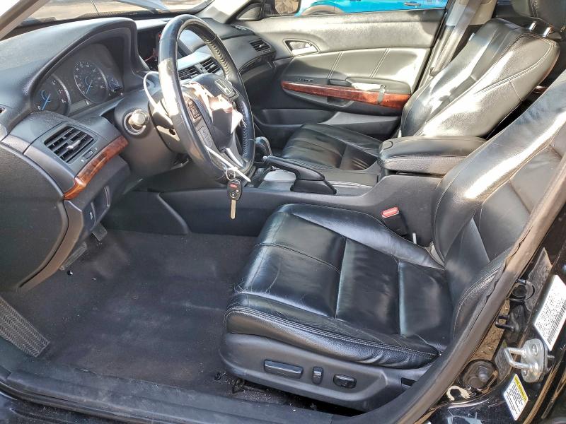 2011 HONDA ACCORD CRO #3311461315