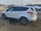 Lot #3316716436 2014 FORD ESCAPE TIT