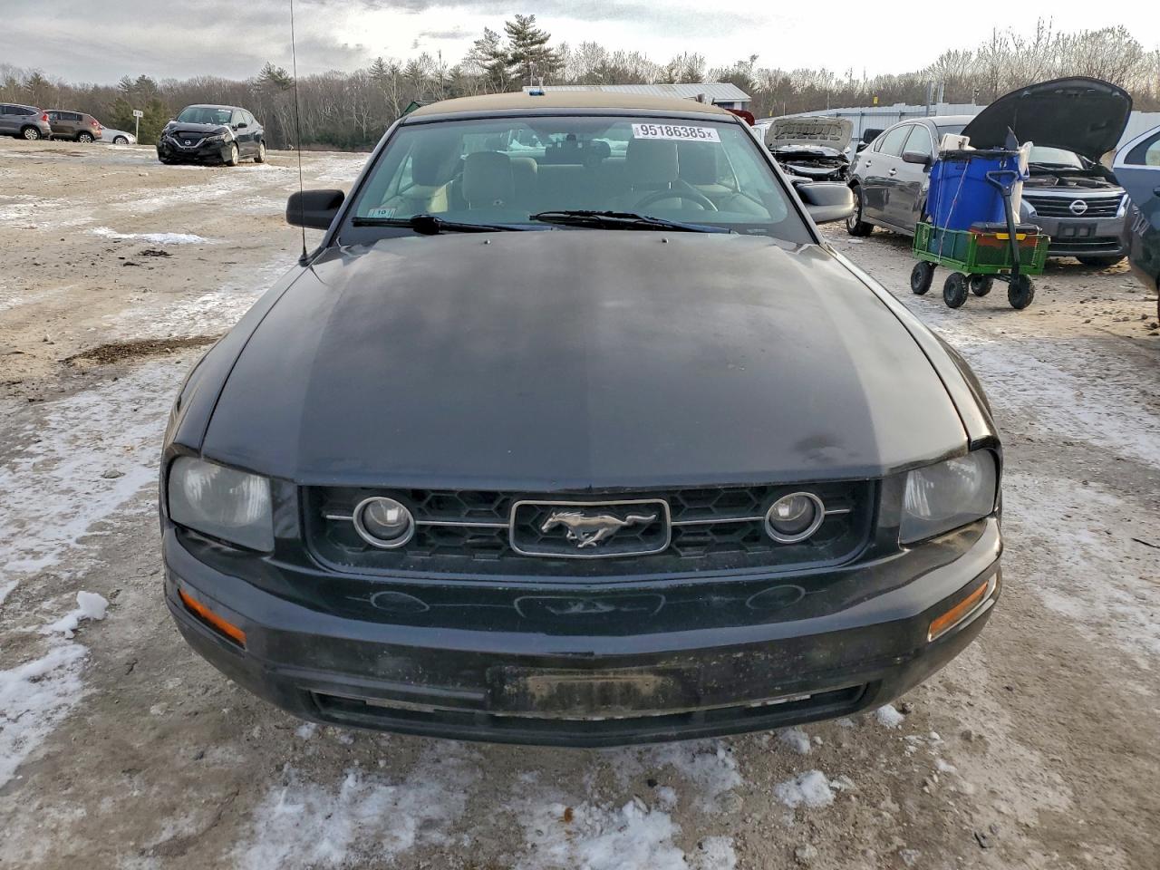 Lot #3310408006 2006 FORD MUSTANG