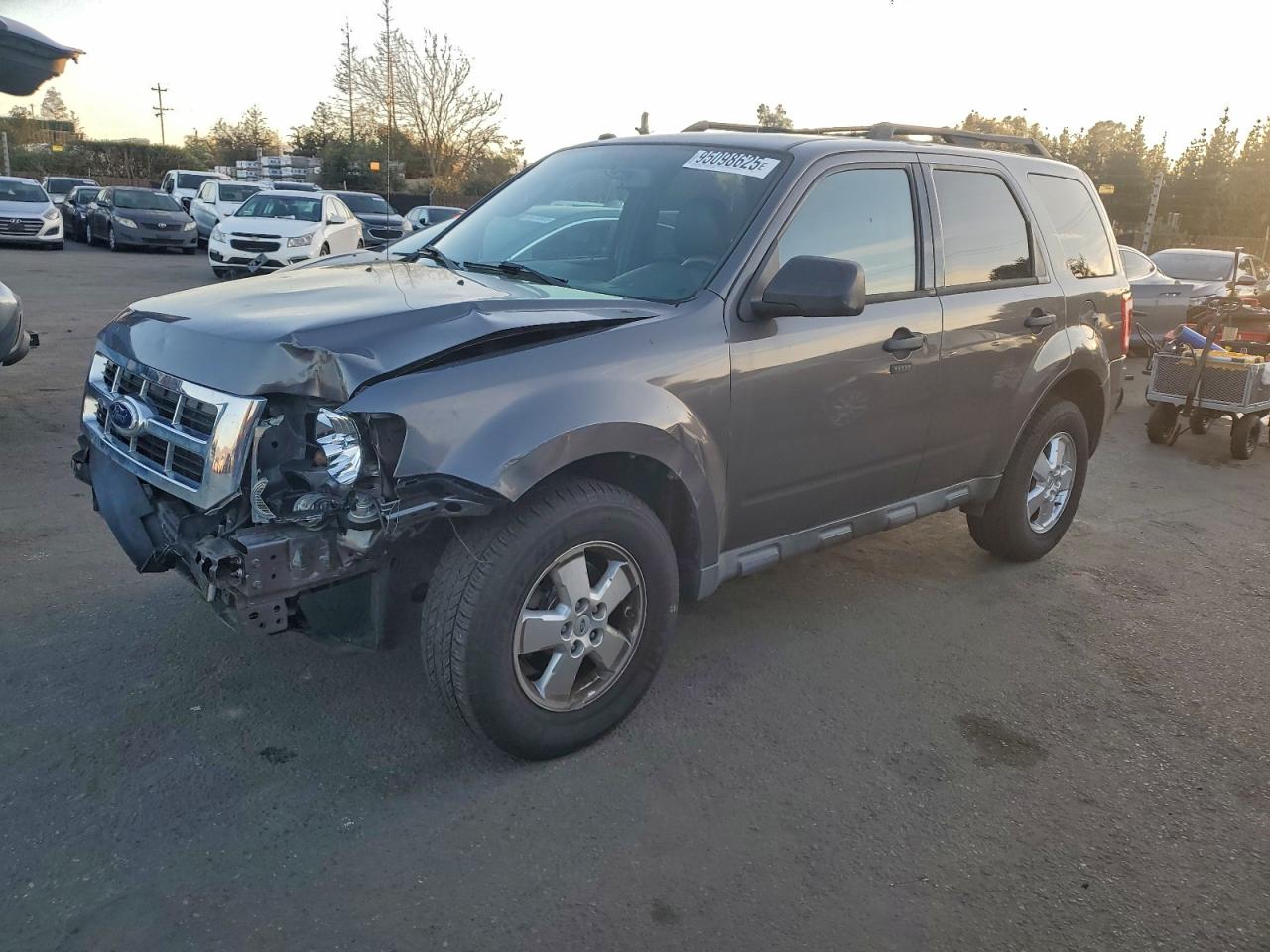 Lot #3305443184 2011 FORD ESCAPE XLT