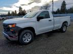 Lot #3301923446 2023 CHEVROLET SILVERADO