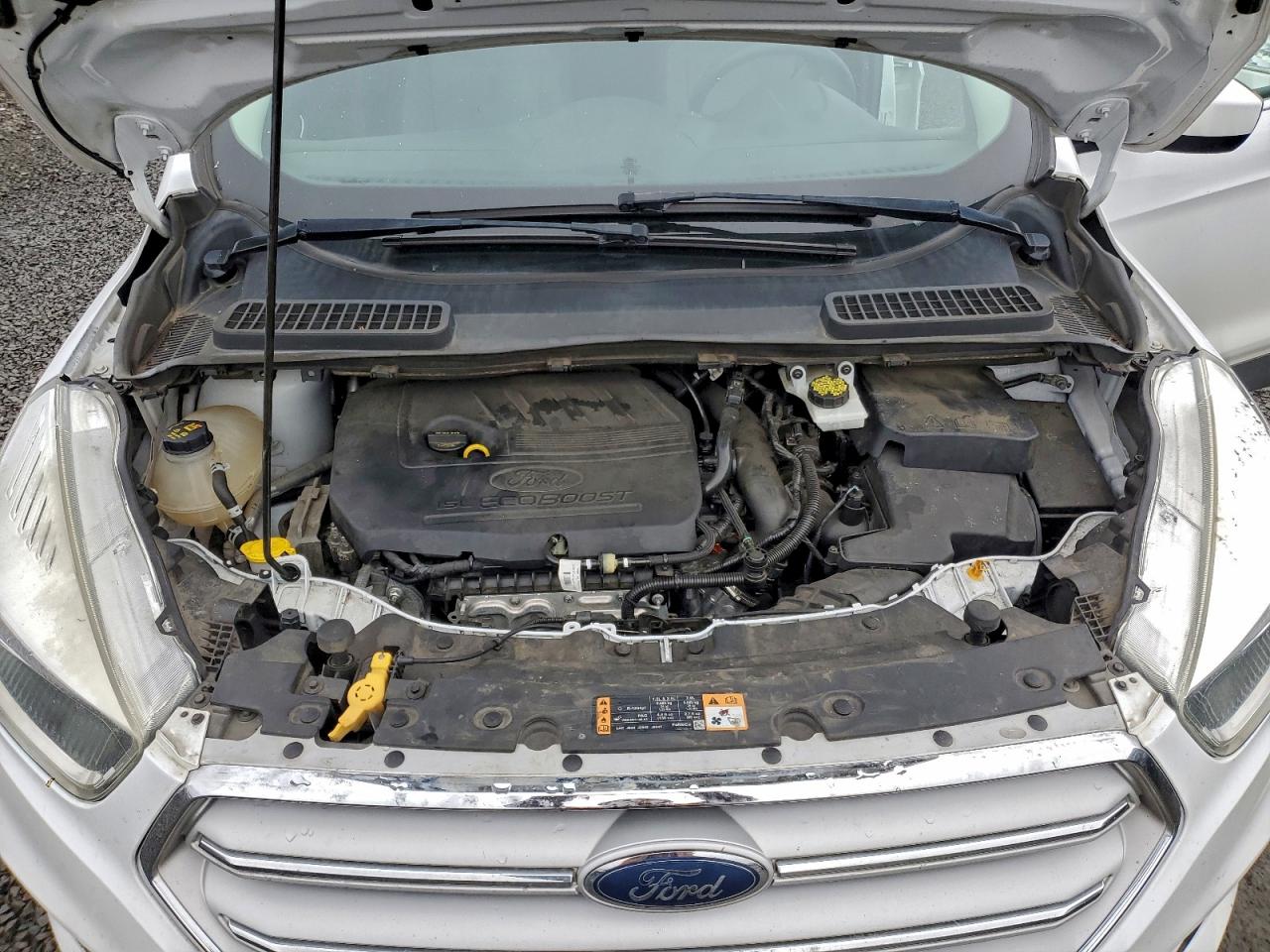 Lot #3311523242 2018 FORD ESCAPE SE