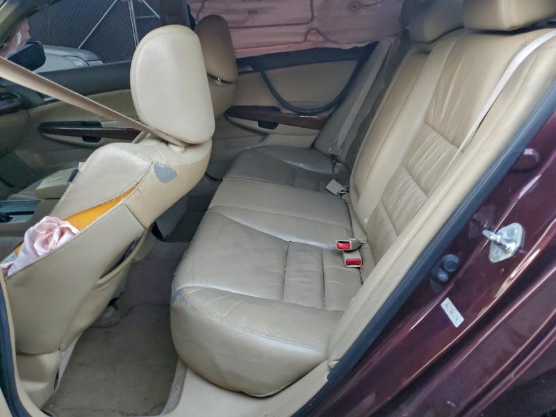 2010 HONDA ACCORD EXL #3306393557