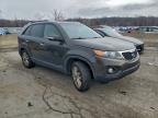 Lot #3311462310 2011 KIA SORENTO EX