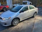 Lot #3303747448 2010 TOYOTA COROLLA BA