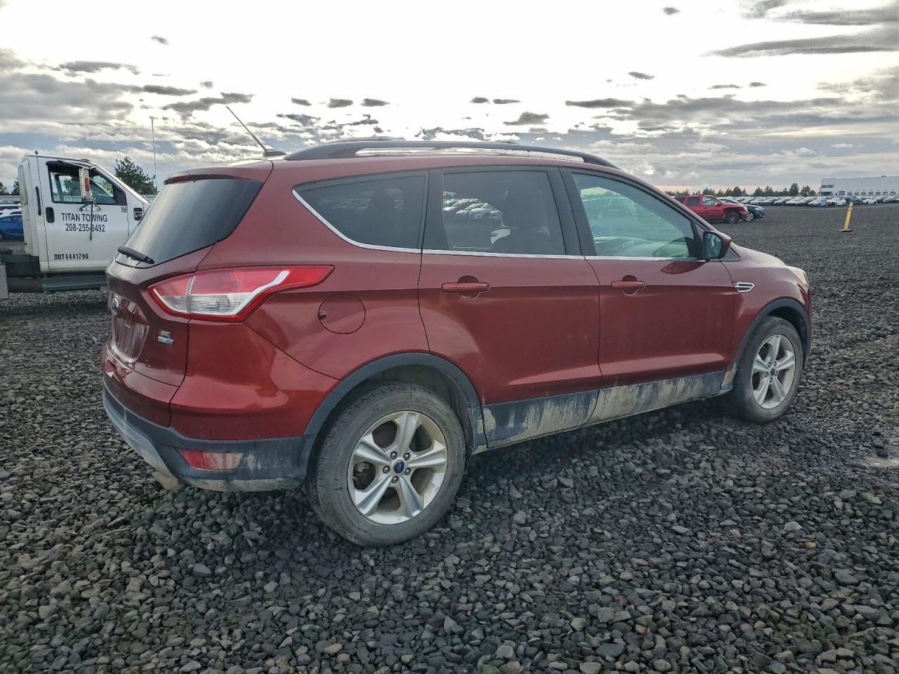 Lot #3318940928 2014 FORD ESCAPE SE