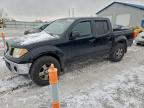 Lot #3309478587 2005 NISSAN FRONTIER C