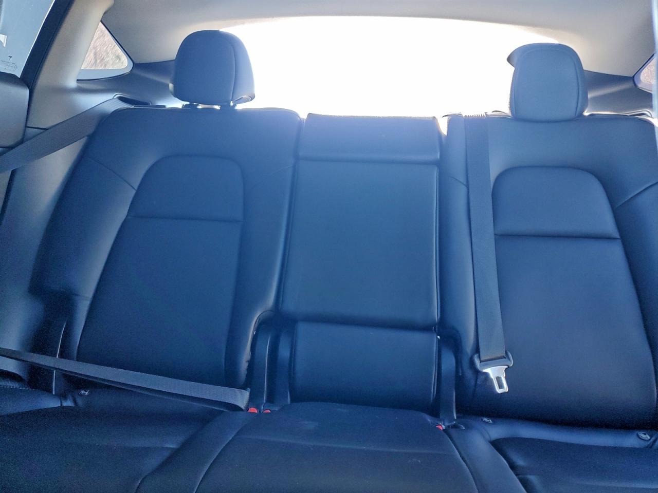 Lot #3317056999 2021 TESLA MODEL Y