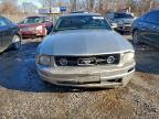 Lot #3306393531 2008 FORD MUSTANG