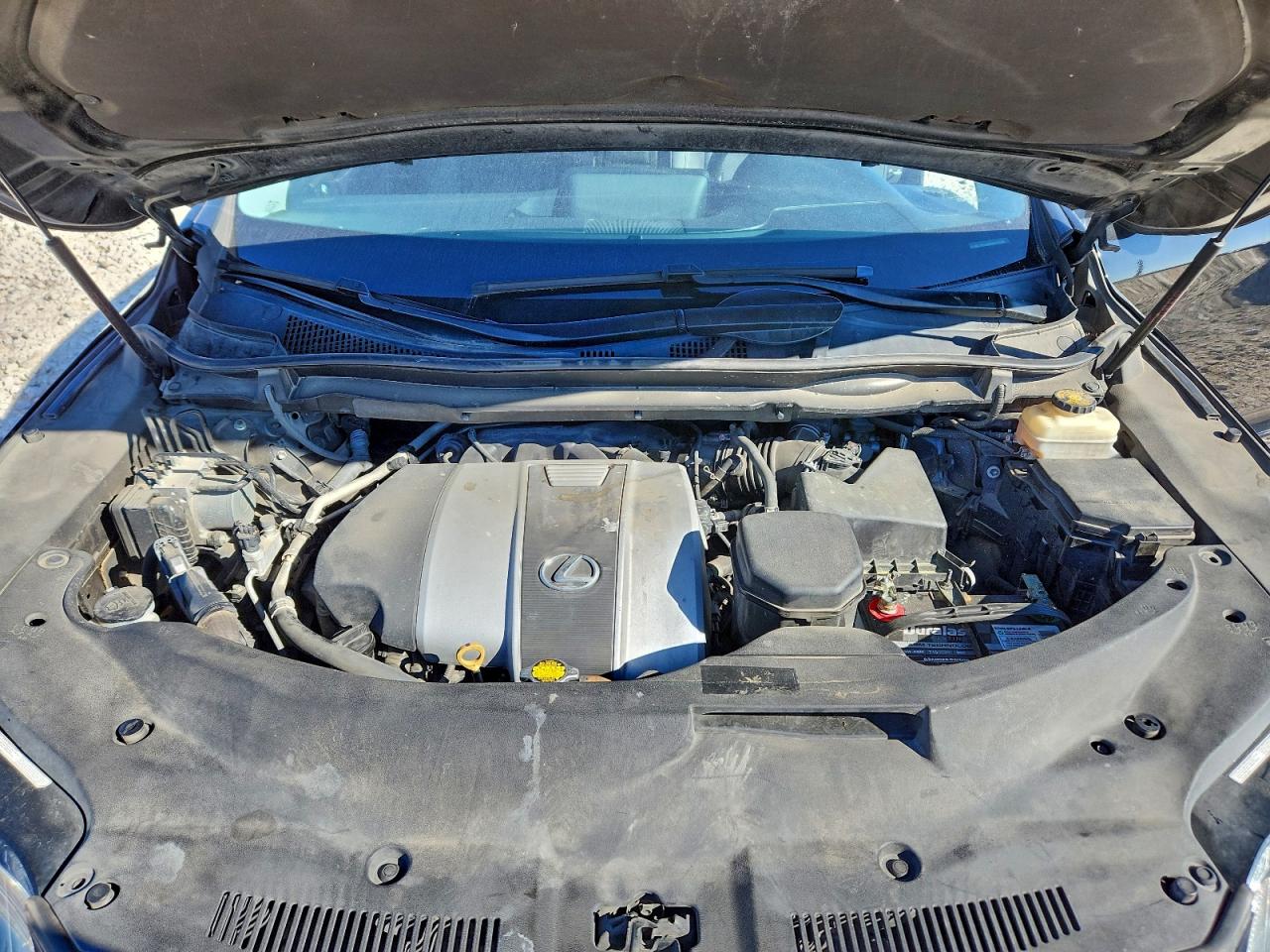 Lot #3310454306 2016 LEXUS RX 350