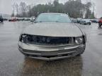 Lot #3303903714 2005 FORD MUSTANG