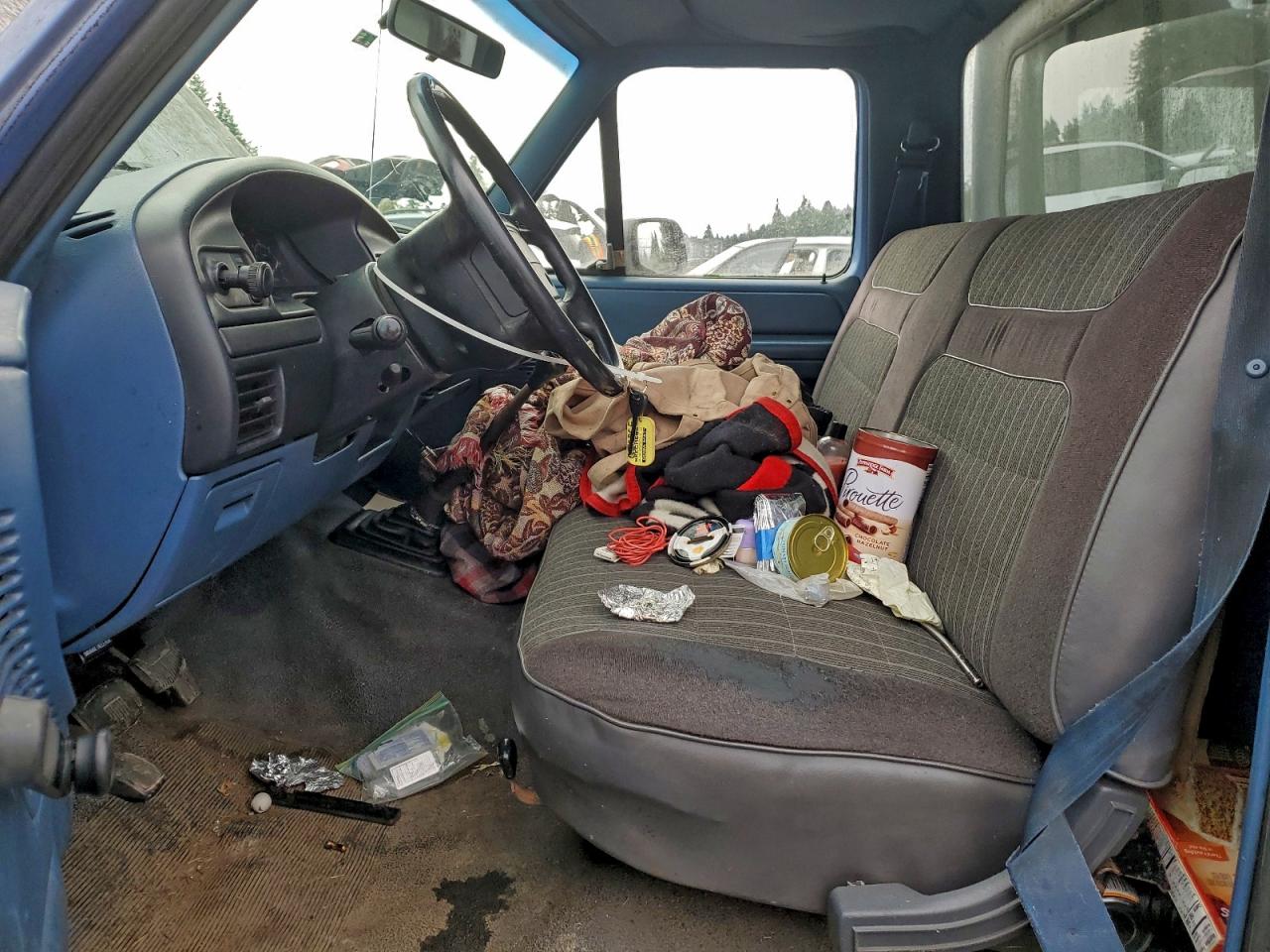 Lot #3316081284 1996 FORD F150