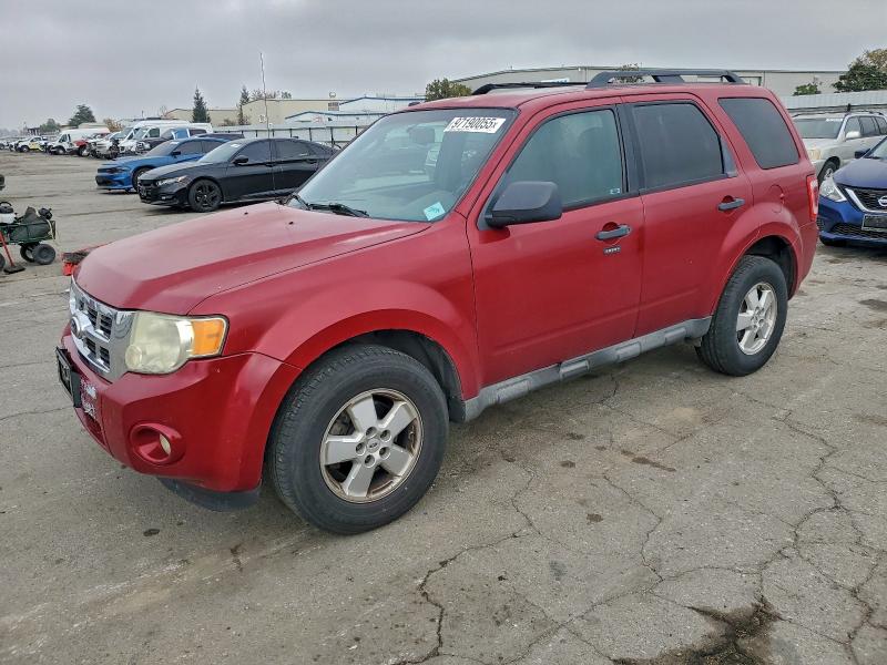 2010 FORD ESCAPE XLT #3319014409