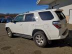 Lot #3316830397 2024 TOYOTA 4RUNNER SR