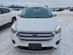 Lot #3310163394 2018 FORD ESCAPE SE