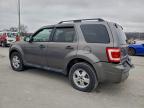Lot #3304549456 2010 FORD ESCAPE XLT