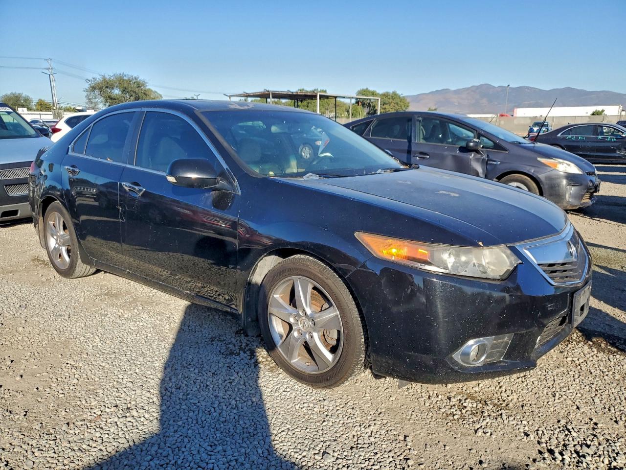 Lot #3311650245 2011 ACURA TSX