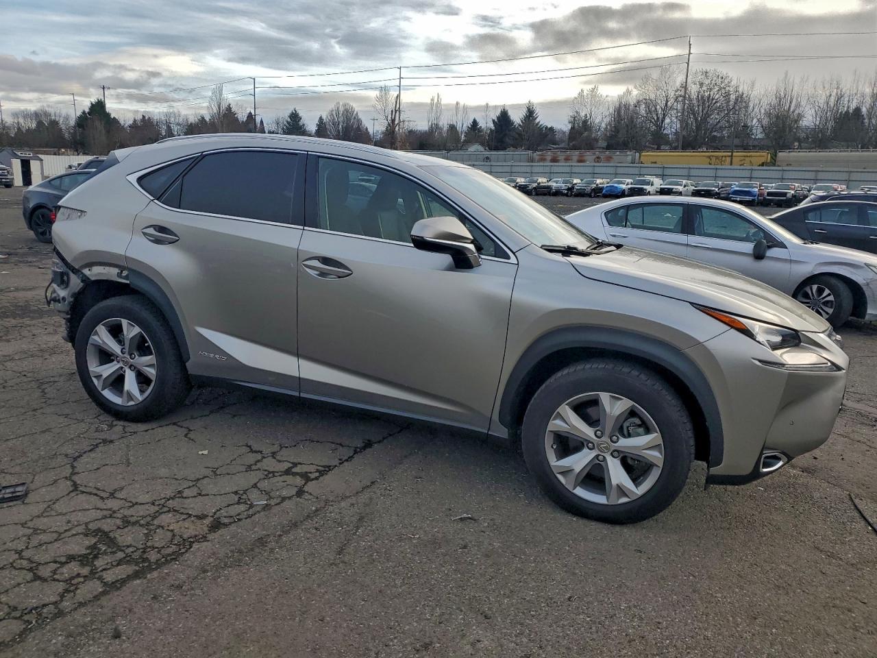 LEXUS NX 300H