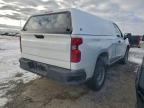 Lot #3317735102 2023 CHEVROLET SILVERADO