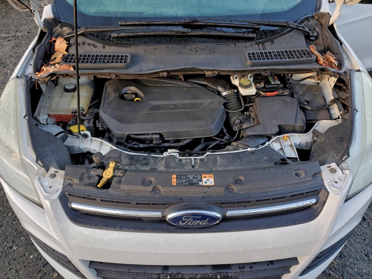 Lot #3318906940 2014 FORD ESCAPE SE