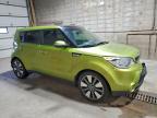 Lot #3305313306 2014 KIA SOUL !