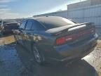 Lot #3309803368 2013 DODGE CHARGER R/