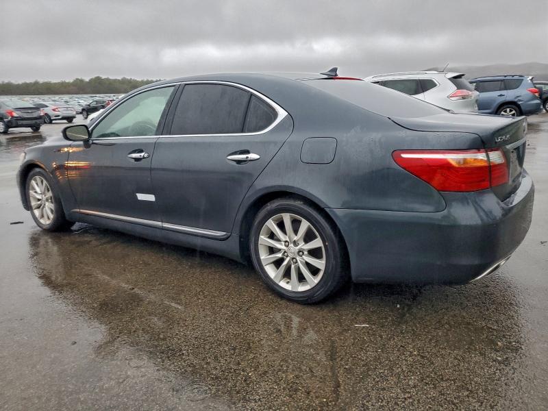 2010 LEXUS LS 460 #3317866920