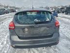 Lot #3304012726 2016 FORD FOCUS SE