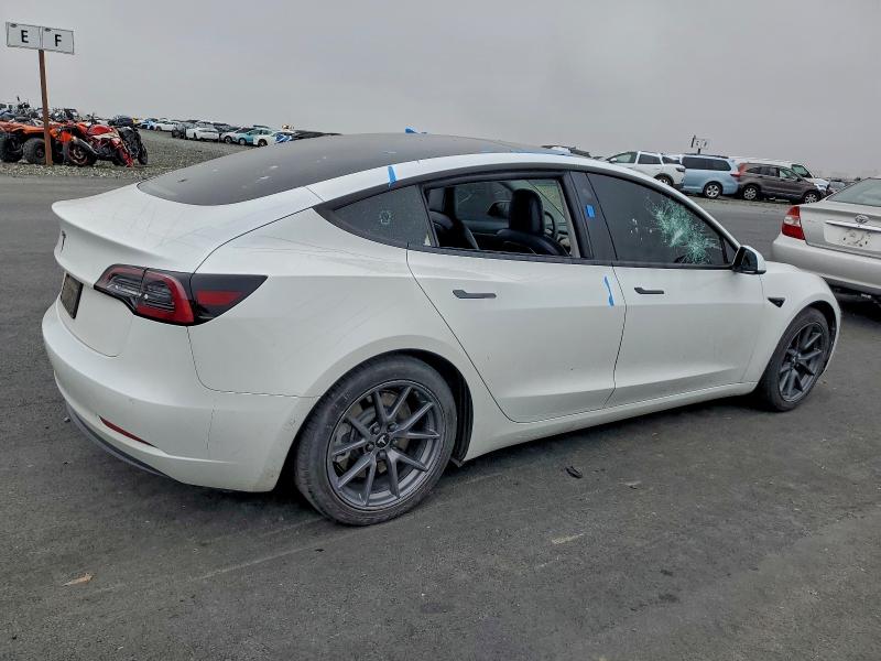 2021 TESLA MODEL 3 #3315769361