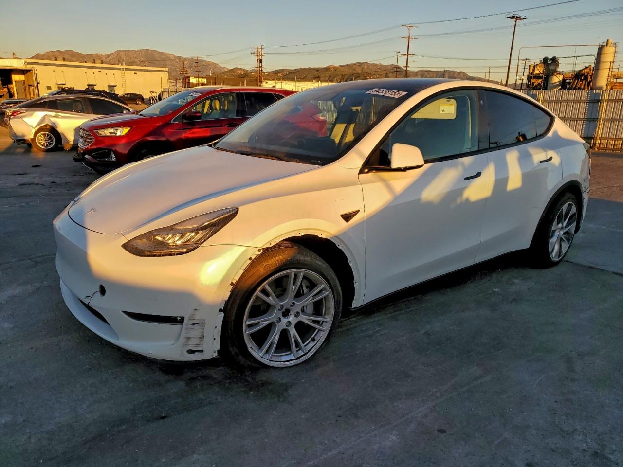 Lot #3309605601 2021 TESLA MODEL Y