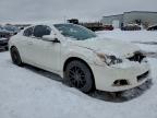 Lot #3304366584 2013 NISSAN ALTIMA S