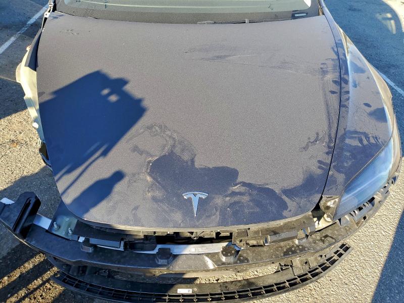2024 TESLA MODEL 3 #3316108232
