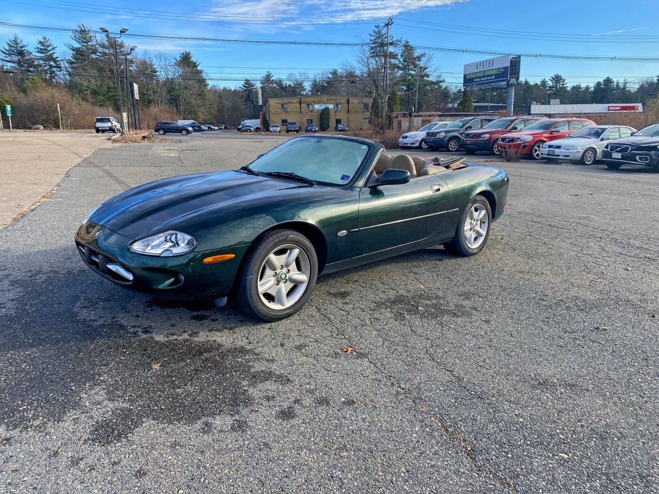 Lot #3304518456 1997 JAGUAR XK8