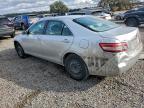 Lot #3304523463 2010 TOYOTA CAMRY BASE
