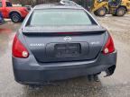 Lot #3304745947 2008 NISSAN MAXIMA SE