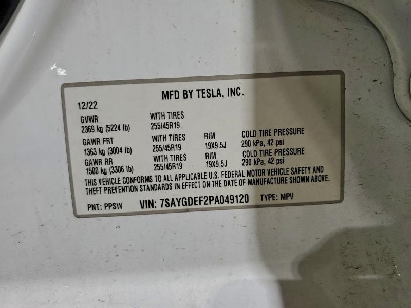 2023 TESLA MODEL Y #3318879912