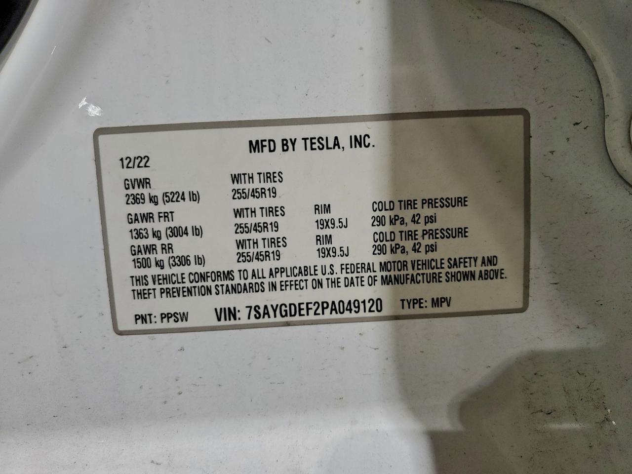 Lot #3318879912 2023 TESLA MODEL Y