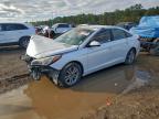 Lot #3310338957 2015 HYUNDAI SONATA SE