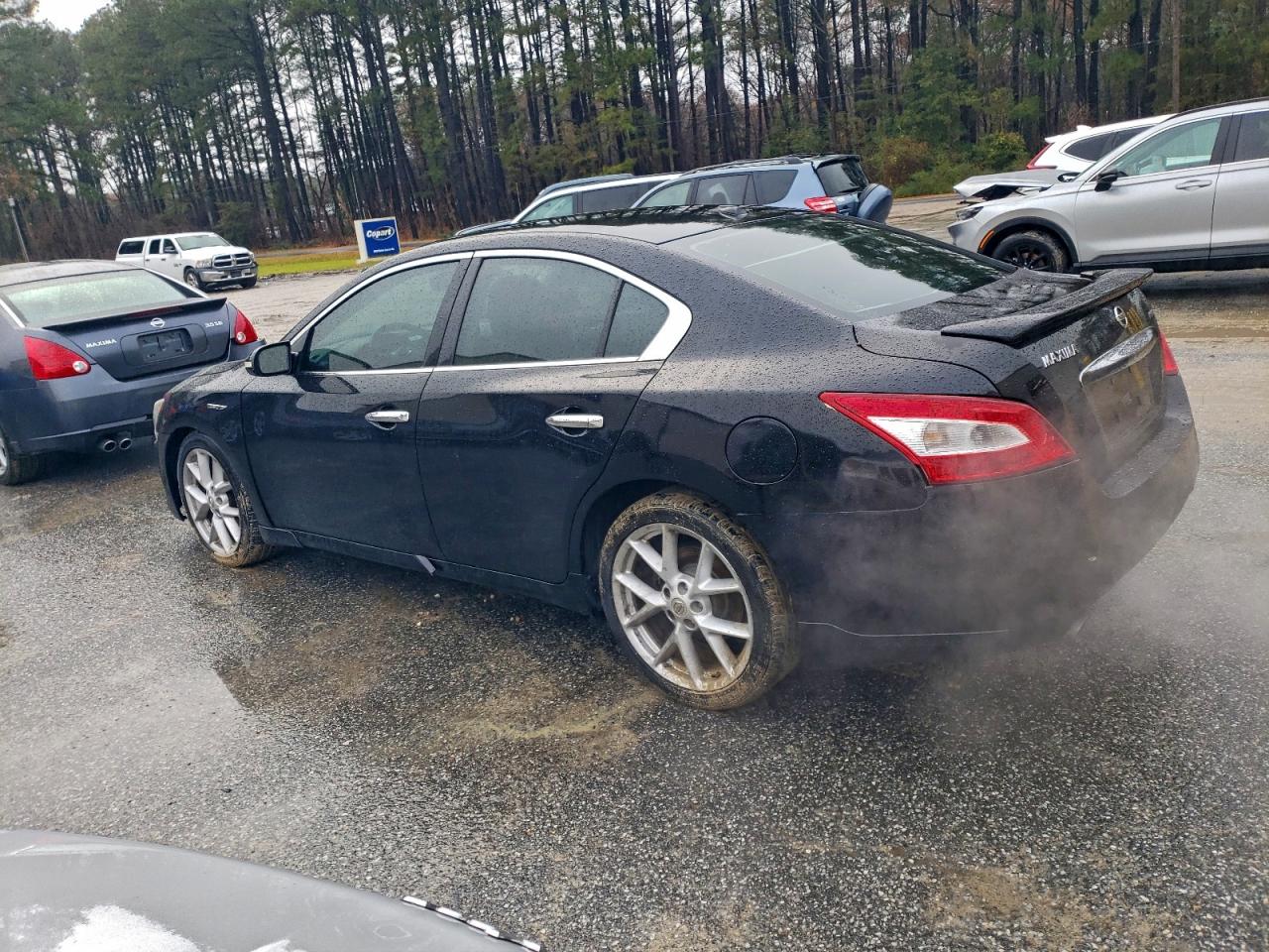 Lot #3302865943 2009 NISSAN MAXIMA S