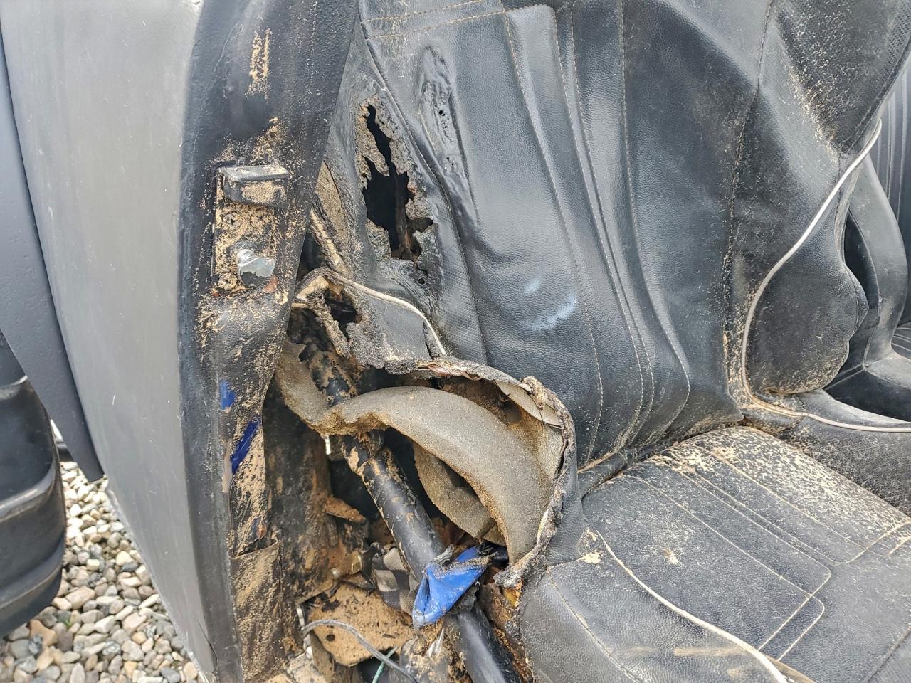 Lot #3297157491 2000 OETH RZR XP TURBO