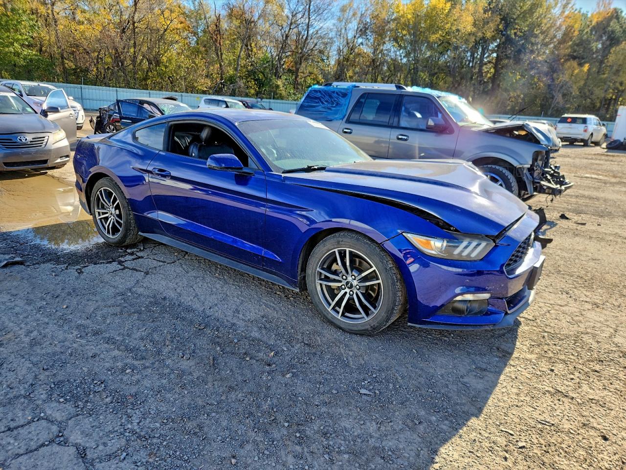 Lot #3311673284 2015 FORD MUSTANG
