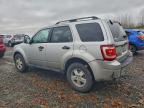 Lot #3308559558 2010 FORD ESCAPE XLT